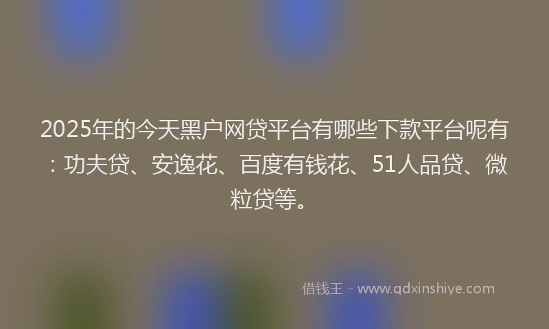 2025年的今天黑户网贷平台有哪些下款平台呢有：功夫贷、安逸花、百度有钱花、51人品贷、微粒贷等。