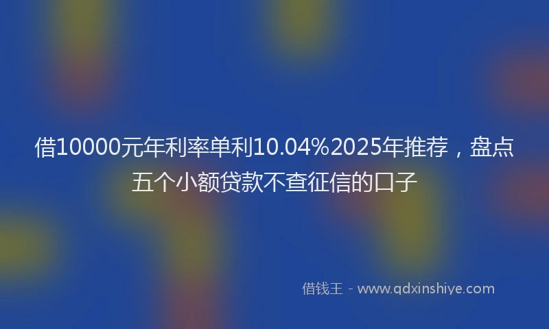 借10000元年利率单利10.04%2025年推荐，盘点五个小额贷款不查征信的口子