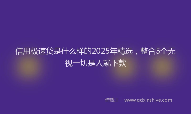 信用极速贷是什么样的2025年精选，整合5个无视一切是人就下款