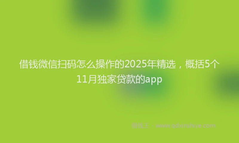 借钱微信扫码怎么操作的2025年精选，概括5个11月独家贷款的app