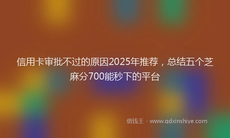 信用卡审批不过的原因2025年推荐，总结五个芝麻分700能秒下的平台
