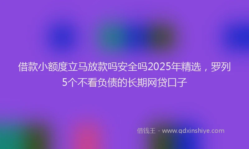 借款小额度立马放款吗安全吗2025年精选，罗列5个不看负债的长期网贷口子