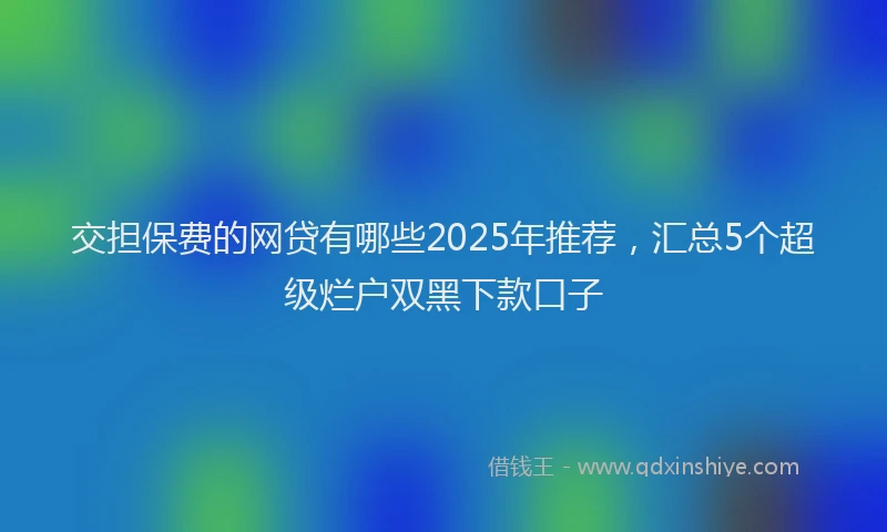 交担保费的网贷有哪些2025年推荐，汇总5个超级烂户双黑下款口子