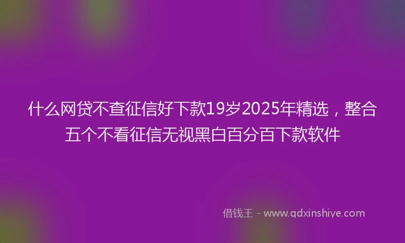 什么网贷不查征信好下款19岁2025年精选，整合五个不看征信无视黑白百分百下款软件