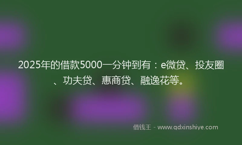 2025年的借款5000一分钟到有：e微贷、投友圈、功夫贷、惠商贷、融逸花等。