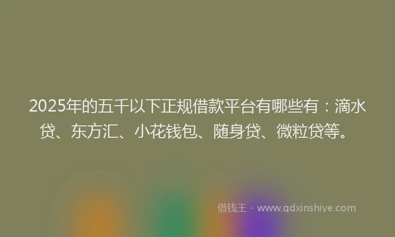 2025年的五千以下正规借款平台有哪些有：滴水贷、东方汇、小花钱包、随身贷、微粒贷等。