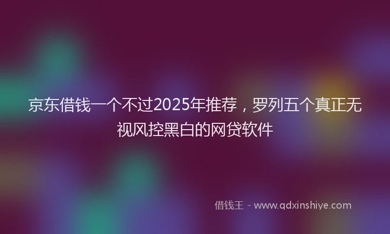 京东借钱一个不过2025年推荐，罗列五个真正无视风控黑白的网贷软件