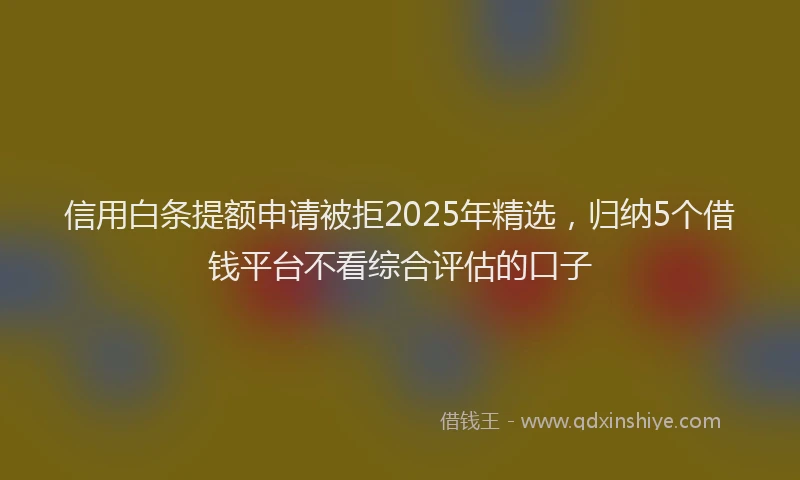 信用白条提额申请被拒2025年精选，归纳5个借钱平台不看综合评估的口子
