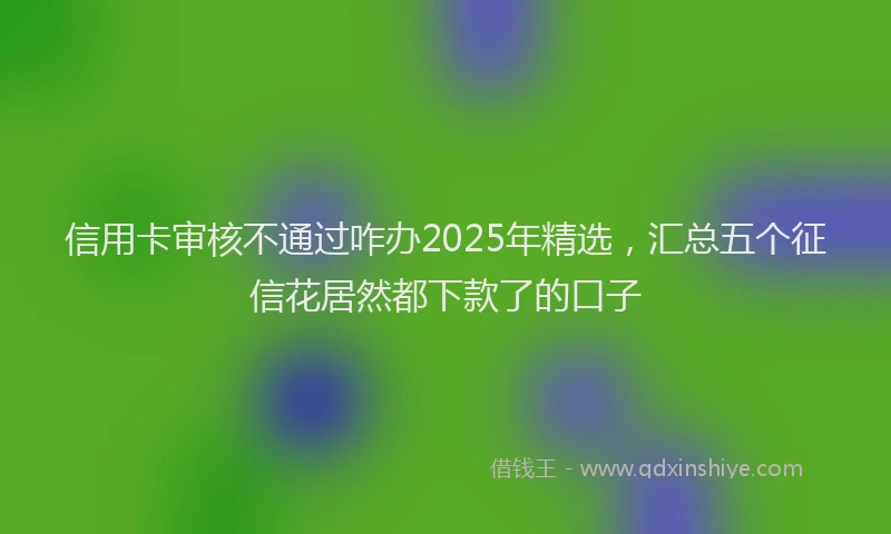 信用卡审核不通过咋办2025年精选，汇总五个征信花居然都下款了的口子