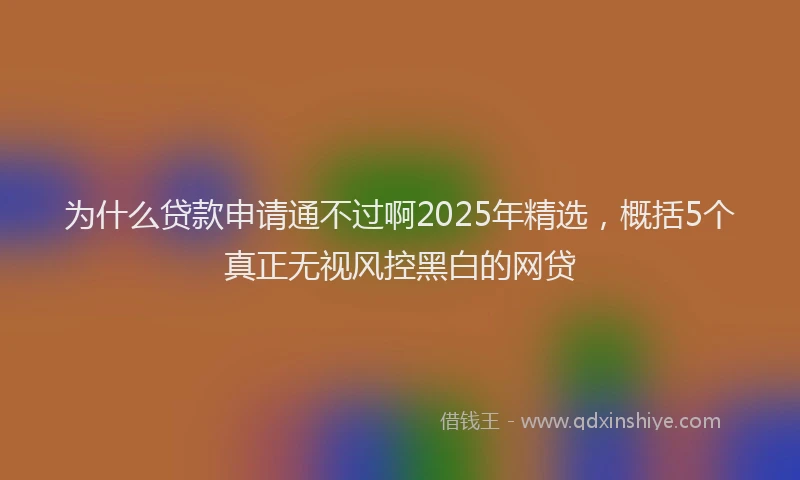 为什么贷款申请通不过啊2025年精选，概括5个真正无视风控黑白的网贷