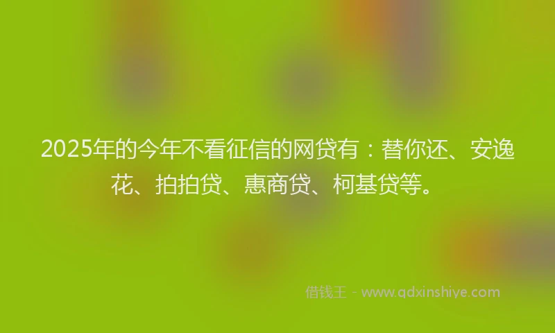2025年的今年不看征信的网贷有：替你还、安逸花、拍拍贷、惠商贷、柯基贷等。
