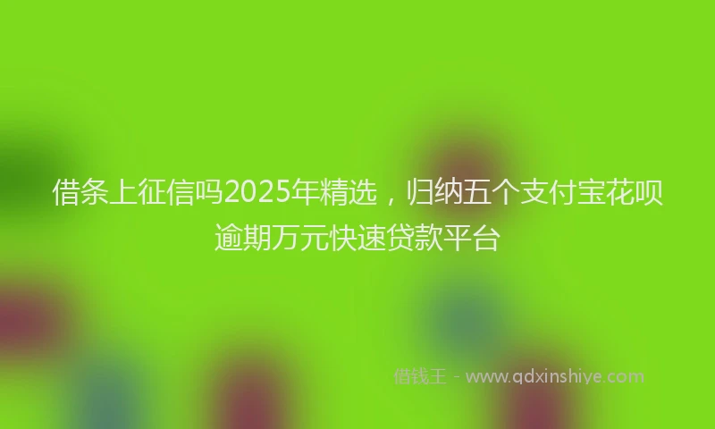 借条上征信吗2025年精选，归纳五个支付宝花呗逾期万元快速贷款平台