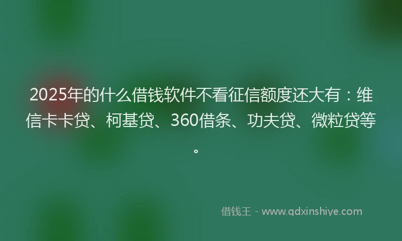2025年的什么借钱软件不看征信额度还大有：维信卡卡贷、柯基贷、360借条、功夫贷、微粒贷等。