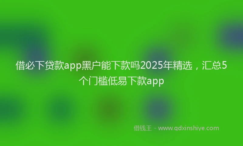 借必下贷款app黑户能下款吗2025年精选，汇总5个门槛低易下款app