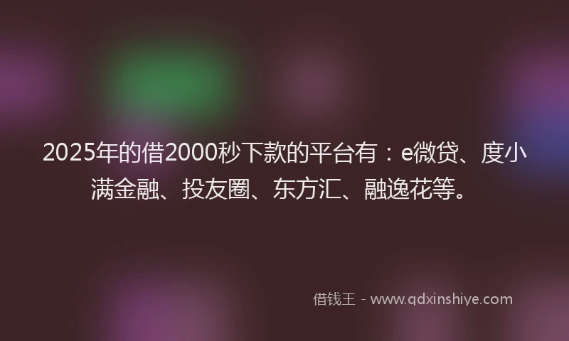 2025年的借2000秒下款的平台有：e微贷、度小满金融、投友圈、东方汇、融逸花等。