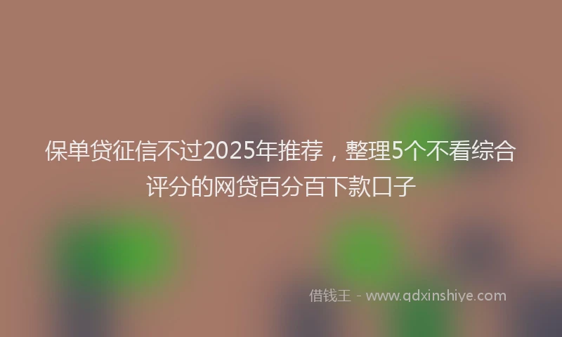 保单贷征信不过2025年推荐，整理5个不看综合评分的网贷百分百下款口子