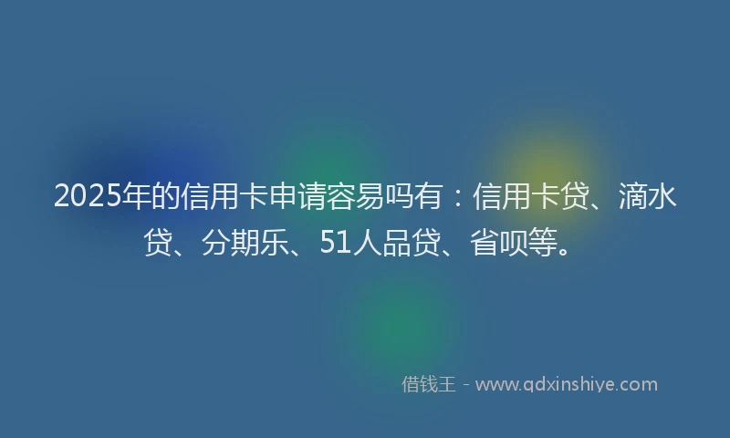 2025年的信用卡申请容易吗有：信用卡贷、滴水贷、分期乐、51人品贷、省呗等。