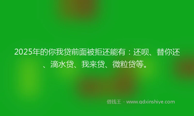 2025年的你我贷前面被拒还能有：还呗、替你还、滴水贷、我来贷、微粒贷等。