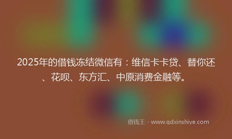 2025年的借钱冻结微信有：维信卡卡贷、替你还、花呗、东方汇、中原消费金融等。