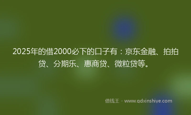2025年的借2000必下的口子有：京东金融、拍拍贷、分期乐、惠商贷、微粒贷等。