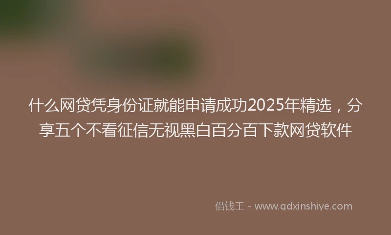 什么网贷凭身份证就能申请成功2025年精选，分享五个不看征信无视黑白百分百下款网贷软件