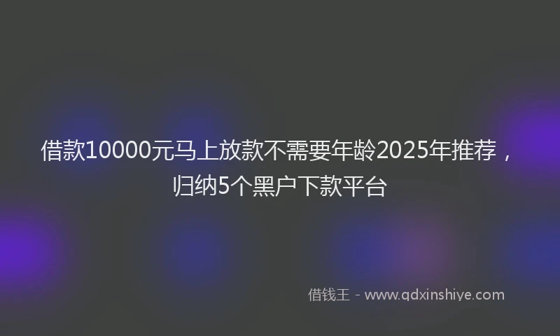 借款10000元马上放款不需要年龄2025年推荐，归纳5个黑户下款平台
