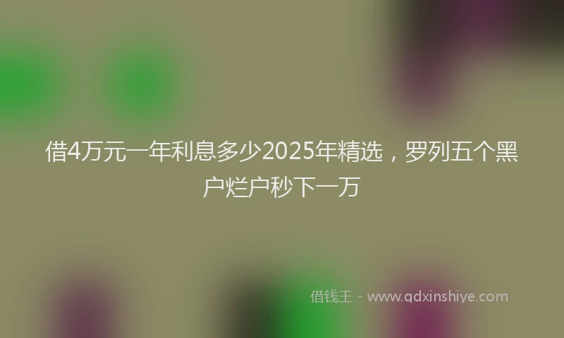 借4万元一年利息多少2025年精选，罗列五个黑户烂户秒下一万
