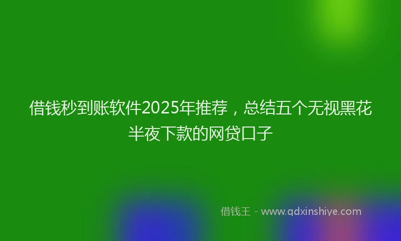 借钱秒到账软件2025年推荐，总结五个无视黑花半夜下款的网贷口子