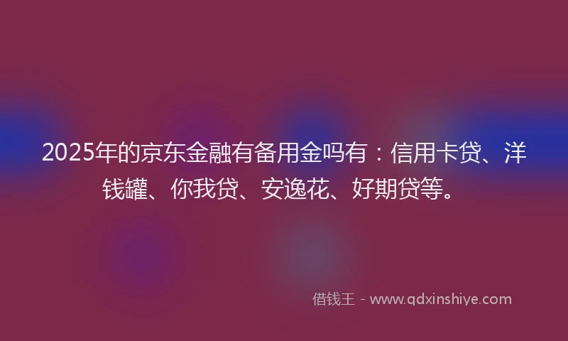 2025年的京东金融有备用金吗有：信用卡贷、洋钱罐、你我贷、安逸花、好期贷等。