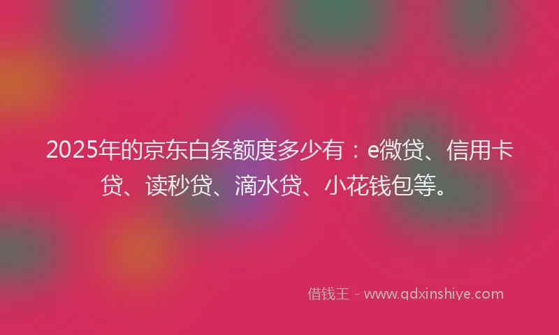 2025年的京东白条额度多少有：e微贷、信用卡贷、读秒贷、滴水贷、小花钱包等。