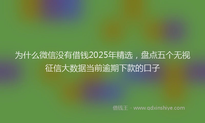为什么微信没有借钱2025年精选，盘点五个无视征信大数据当前逾期下款的口子