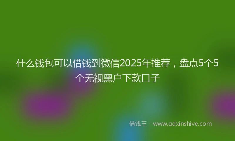 什么钱包可以借钱到微信2025年推荐，盘点5个5个无视黑户下款口子