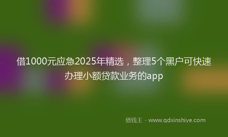 借1000元应急2025年精选，整理5个黑户可快速办理小额贷款业务的app