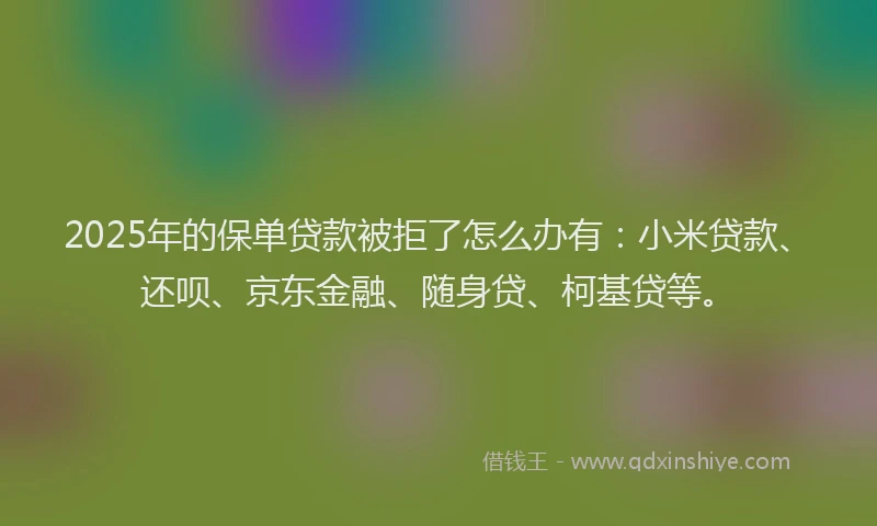 2025年的保单贷款被拒了怎么办有：小米贷款、还呗、京东金融、随身贷、柯基贷等。