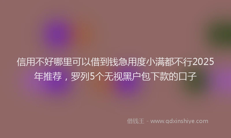 信用不好哪里可以借到钱急用度小满都不行2025年推荐，罗列5个无视黑户包下款的口子