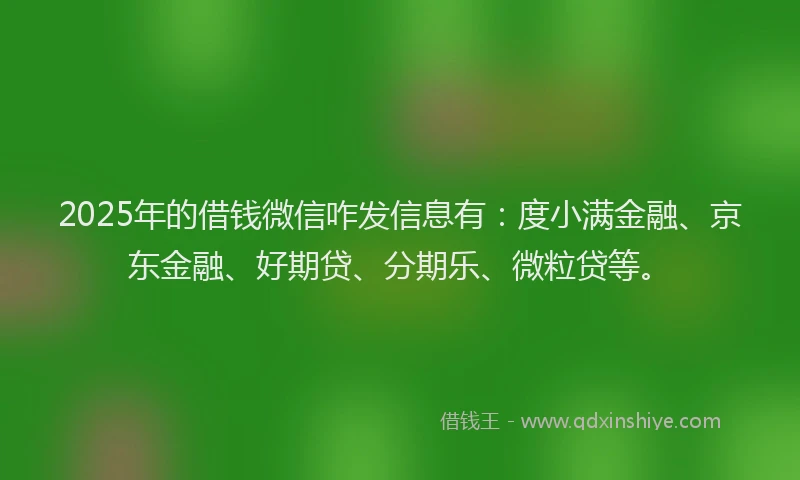 2025年的借钱微信咋发信息有：度小满金融、京东金融、好期贷、分期乐、微粒贷等。