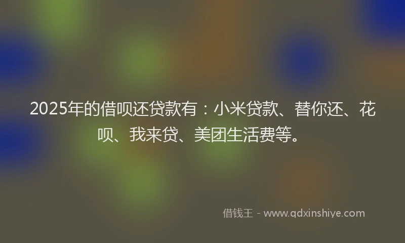 2025年的借呗还贷款有：小米贷款、替你还、花呗、我来贷、美团生活费等。