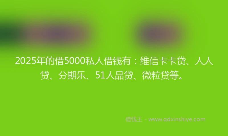 2025年的借5000私人借钱有：维信卡卡贷、人人贷、分期乐、51人品贷、微粒贷等。