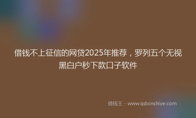 借钱不上征信的网贷2025年推荐，罗列五个无视黑白户秒下款口子软件