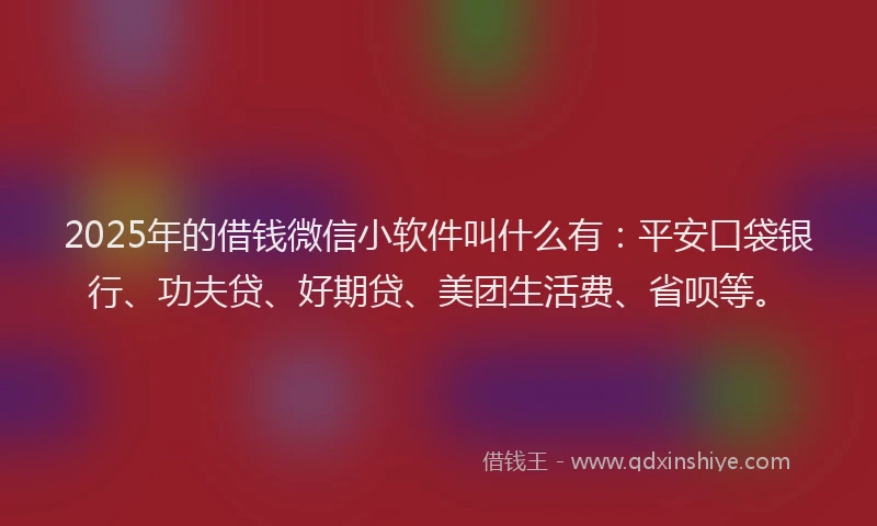 2025年的借钱微信小软件叫什么有：平安口袋银行、功夫贷、好期贷、美团生活费、省呗等。
