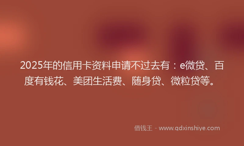 2025年的信用卡资料申请不过去有：e微贷、百度有钱花、美团生活费、随身贷、微粒贷等。