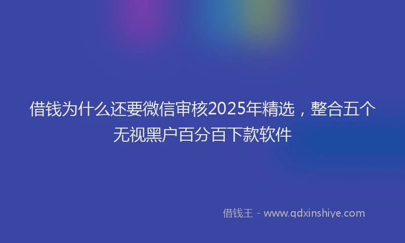 借钱为什么还要微信审核2025年精选，整合五个无视黑户百分百下款软件