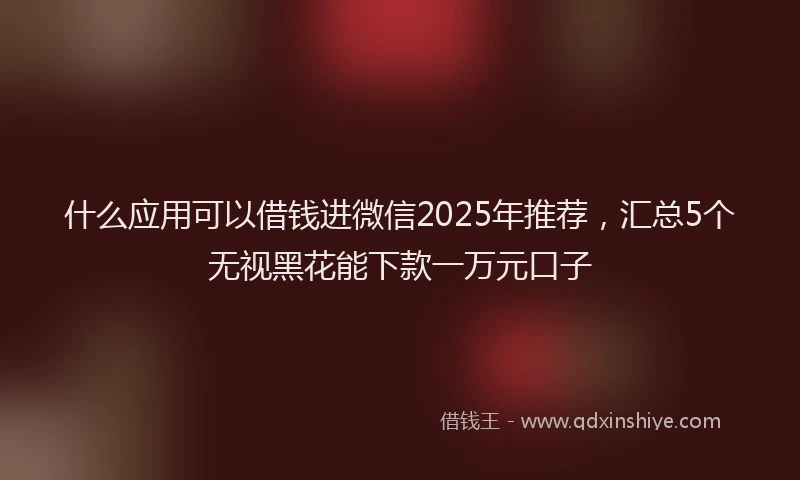 什么应用可以借钱进微信2025年推荐，汇总5个无视黑花能下款一万元口子