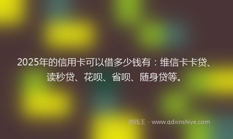 2025年的信用卡可以借多少钱有：维信卡卡贷、读秒贷、花呗、省呗、随身贷等。