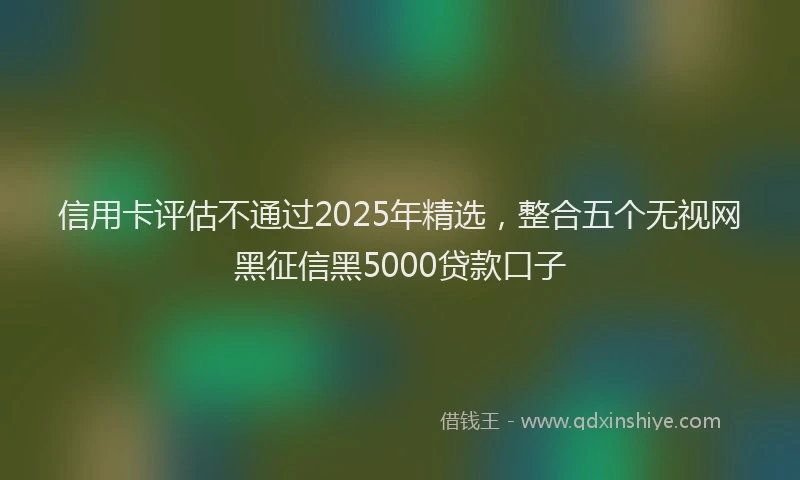 信用卡评估不通过2025年精选，整合五个无视网黑征信黑5000贷款口子