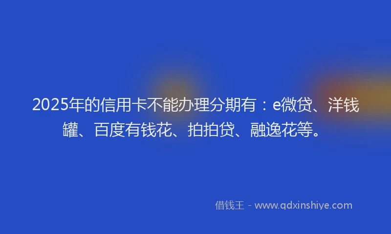 2025年的信用卡不能办理分期有：e微贷、洋钱罐、百度有钱花、拍拍贷、融逸花等。