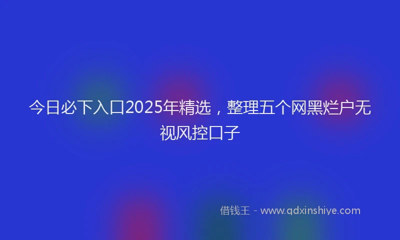 今日必下入口2025年精选，整理五个网黑烂户无视风控口子