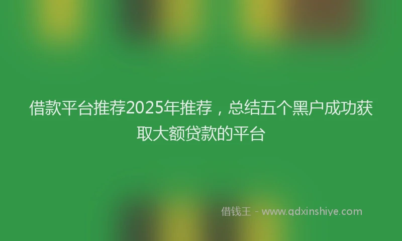 借款平台推荐2025年推荐，总结五个黑户成功获取大额贷款的平台