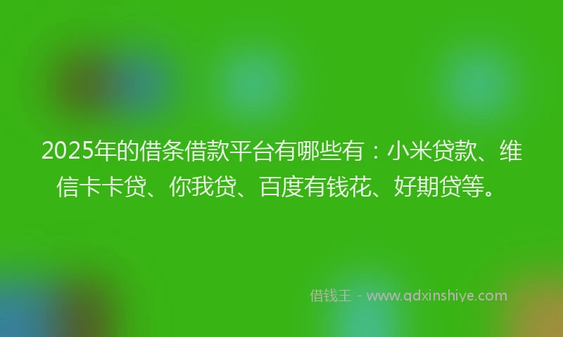 2025年的借条借款平台有哪些有：小米贷款、维信卡卡贷、你我贷、百度有钱花、好期贷等。