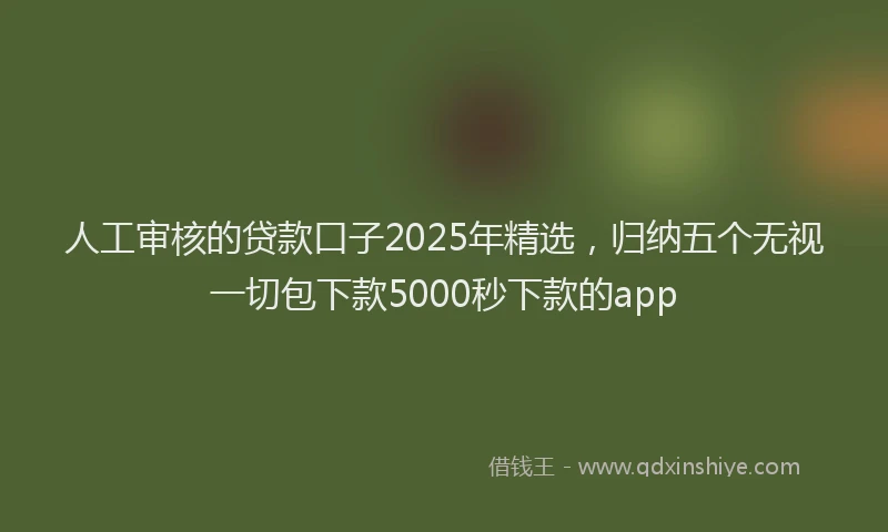 人工审核的贷款口子2025年精选，归纳五个无视一切包下款5000秒下款的app